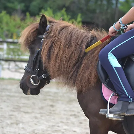 Il Rovero Castion Veronese