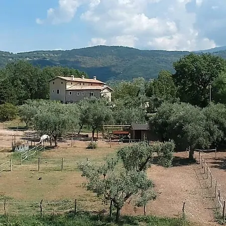 Il Rovero Apartman Castion Veronese