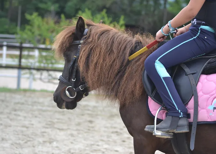 Il Rovero Castion Veronese