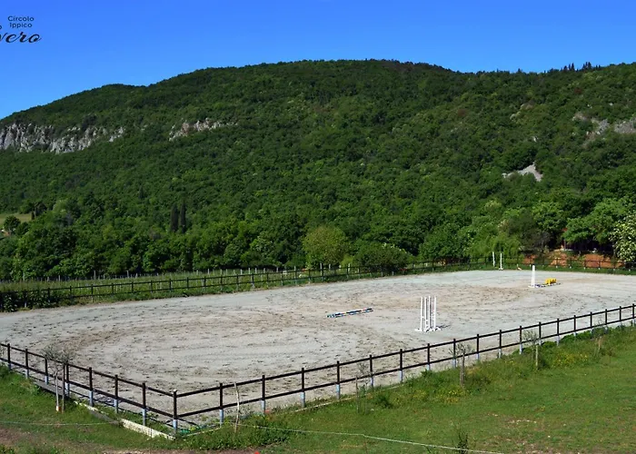 Apartment Il Rovero Castion Veronese