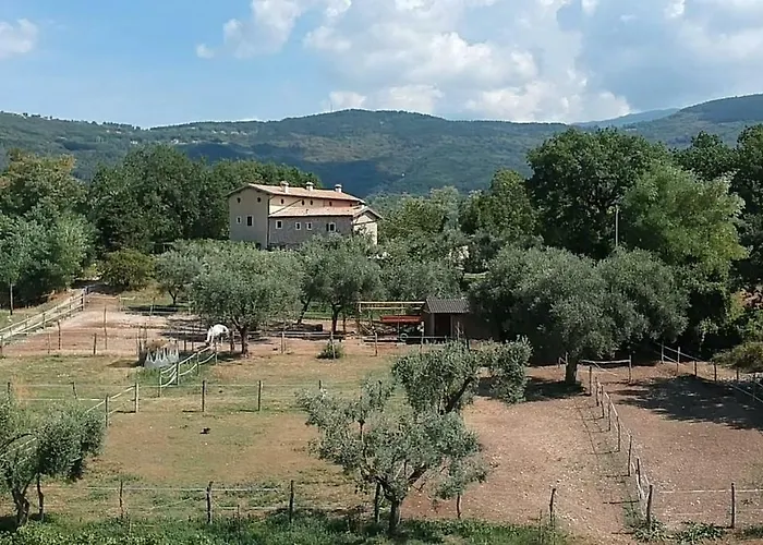 Il Rovero Apartment Castion Veronese