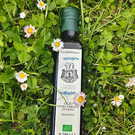 Il Rovero Apartamento *